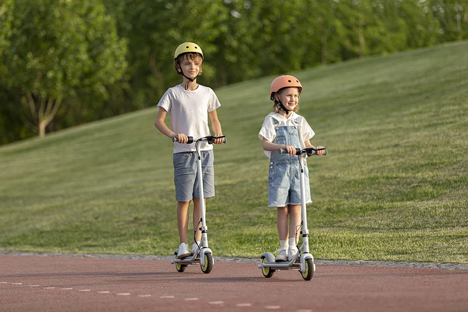 Segway zing C8 Trottinette électrique